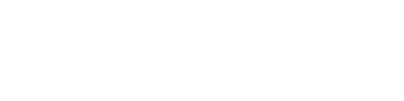 Vero Scale